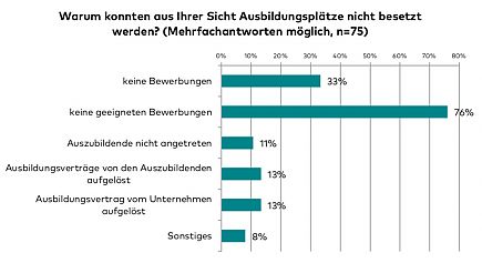 Gründe für nicht besetzte Ausbildungsplätze